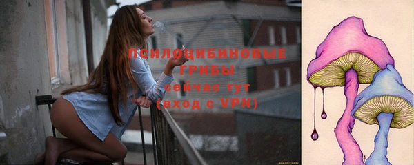 хмурый Валдай