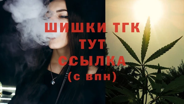 прущая мука Нея