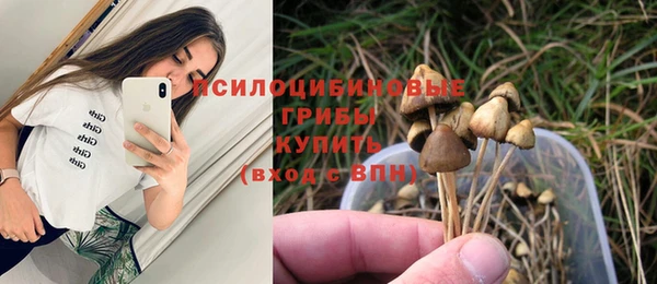 MDMA Нефтегорск