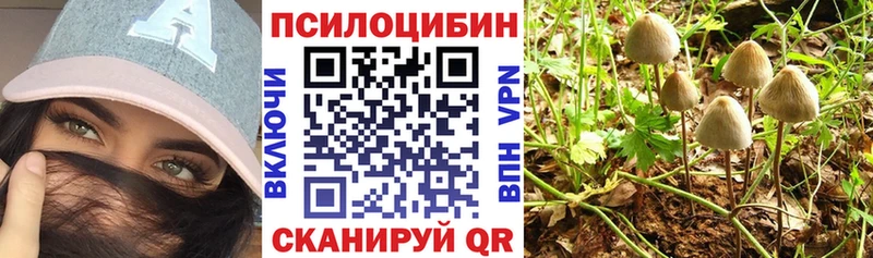 Псилоцибиновые грибы GOLDEN TEACHER  mega вход  Лебедянь 